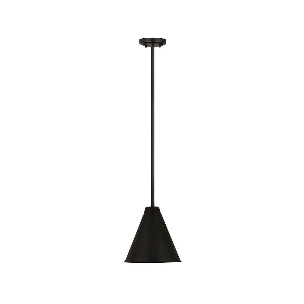 Z-Lite 1 Light Pendant. Picture 2