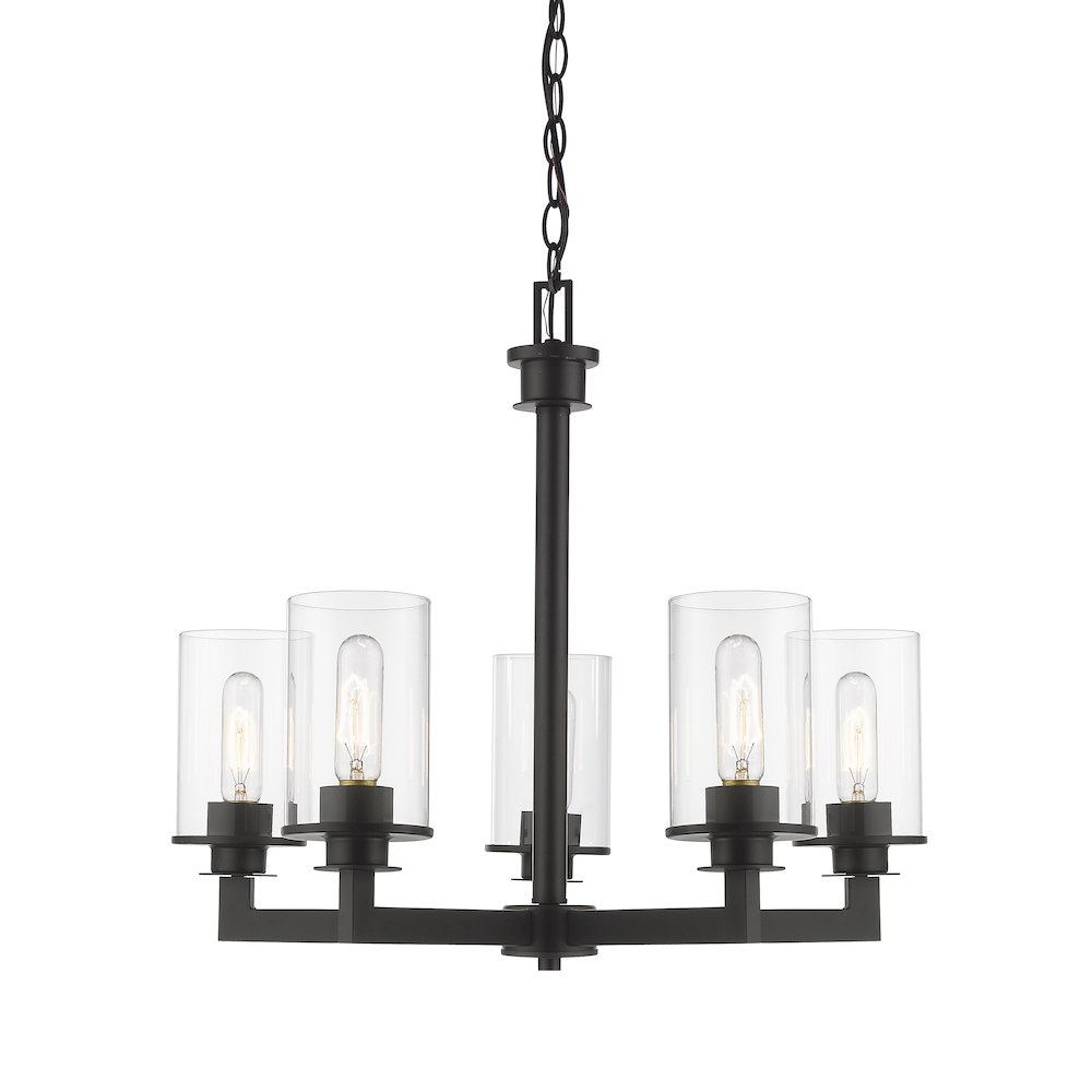 Z-Lite 5 Light Chandelier. Picture 3