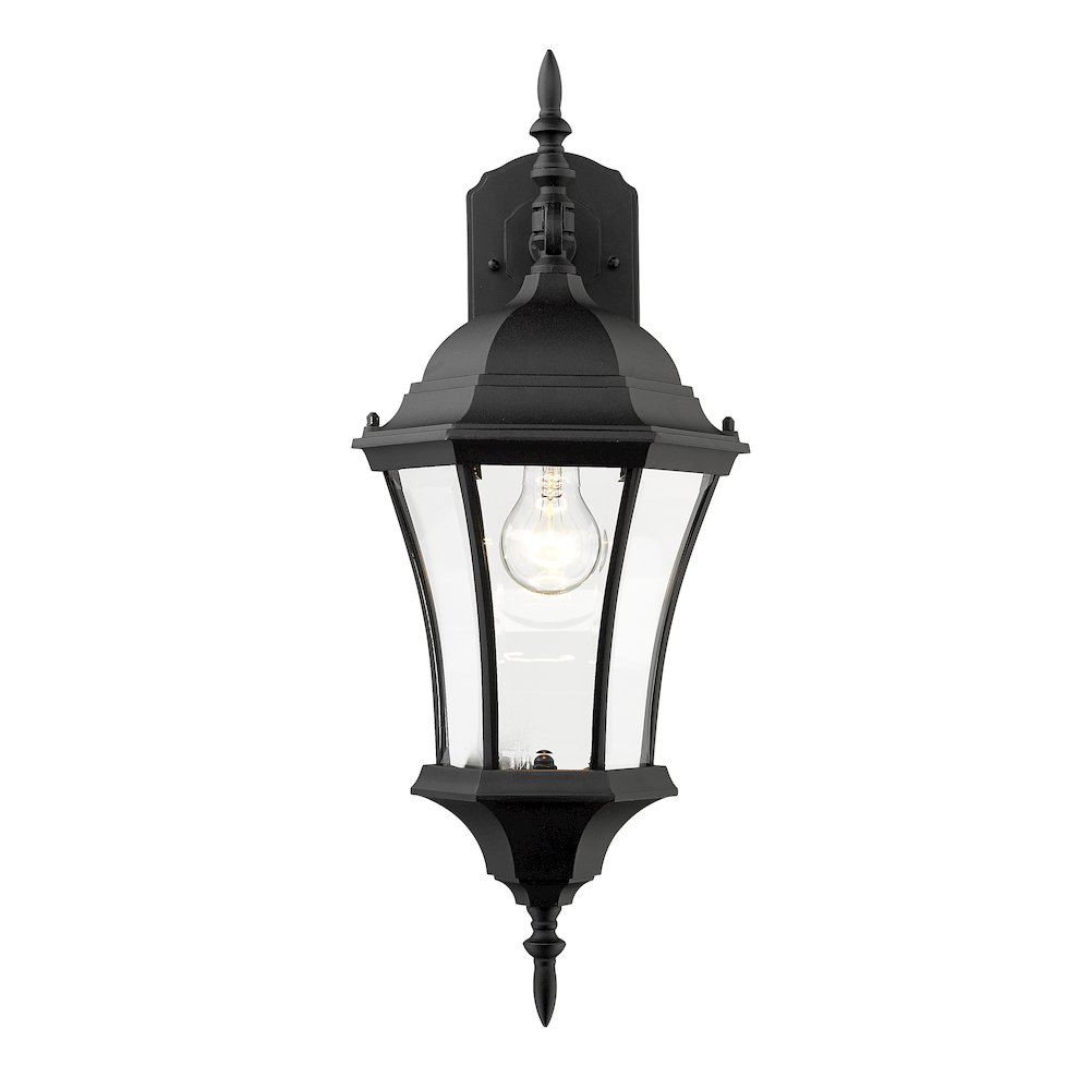 Z-Lite 1 Light Outdoor Wall Light. Picture 2