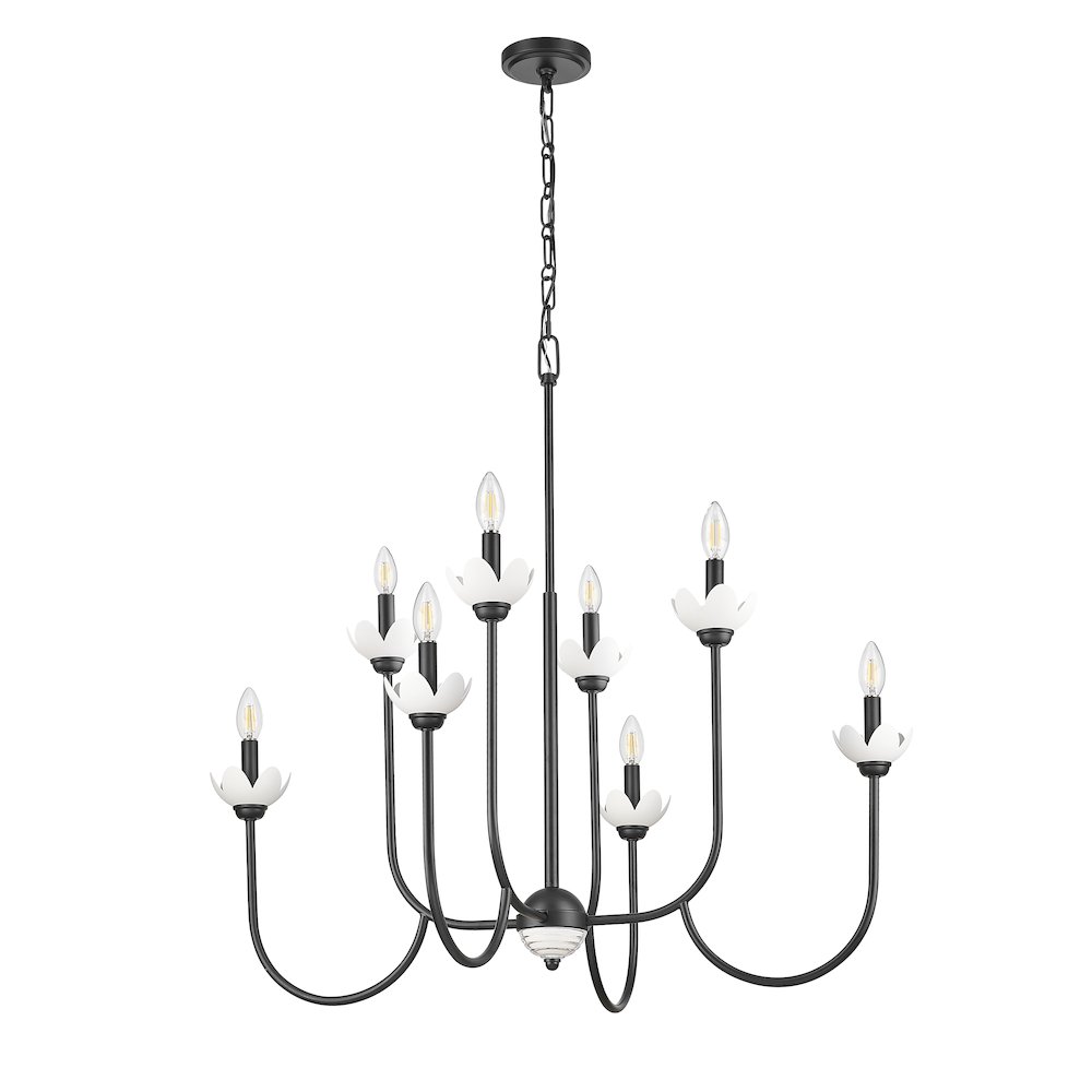 Z-Lite Allistair 8 Light Chandelier in Matte Black color, Steel frame. Picture 5