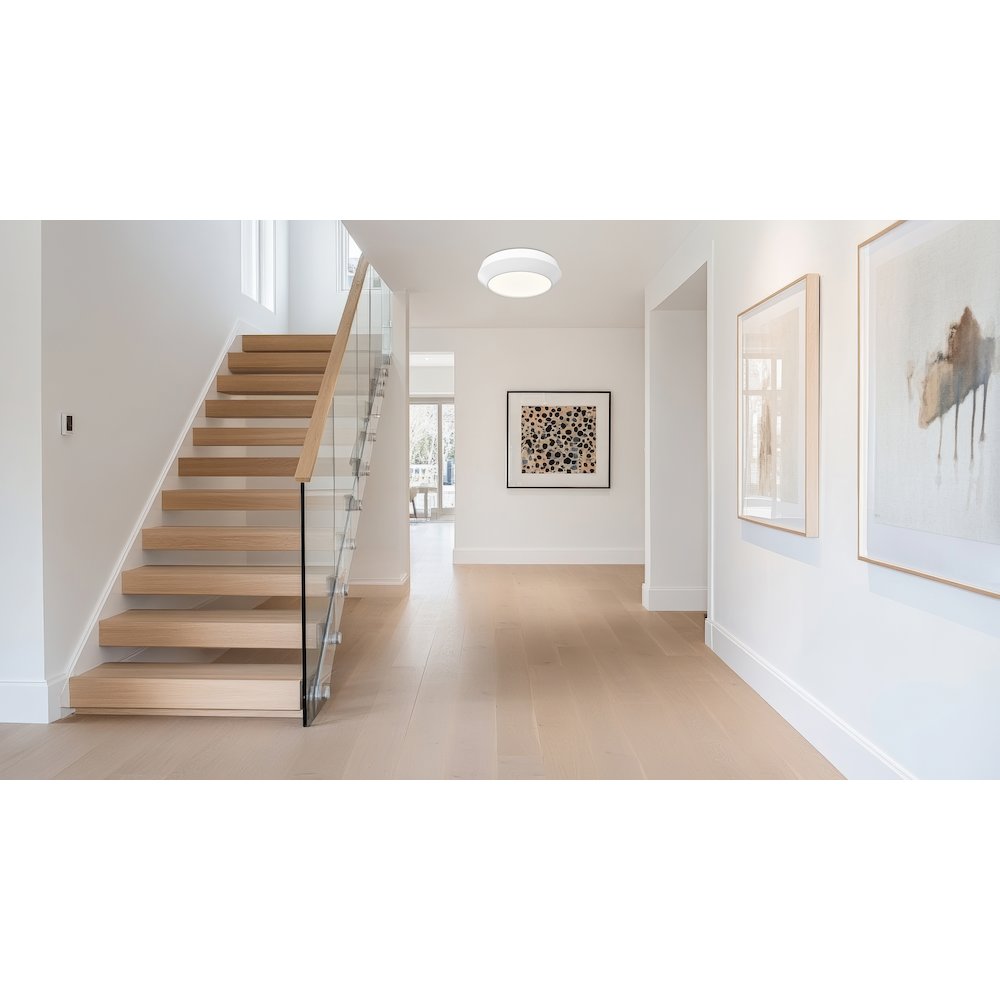 Z-Lite 1 Light Flush Mount, Matte White. Picture 6