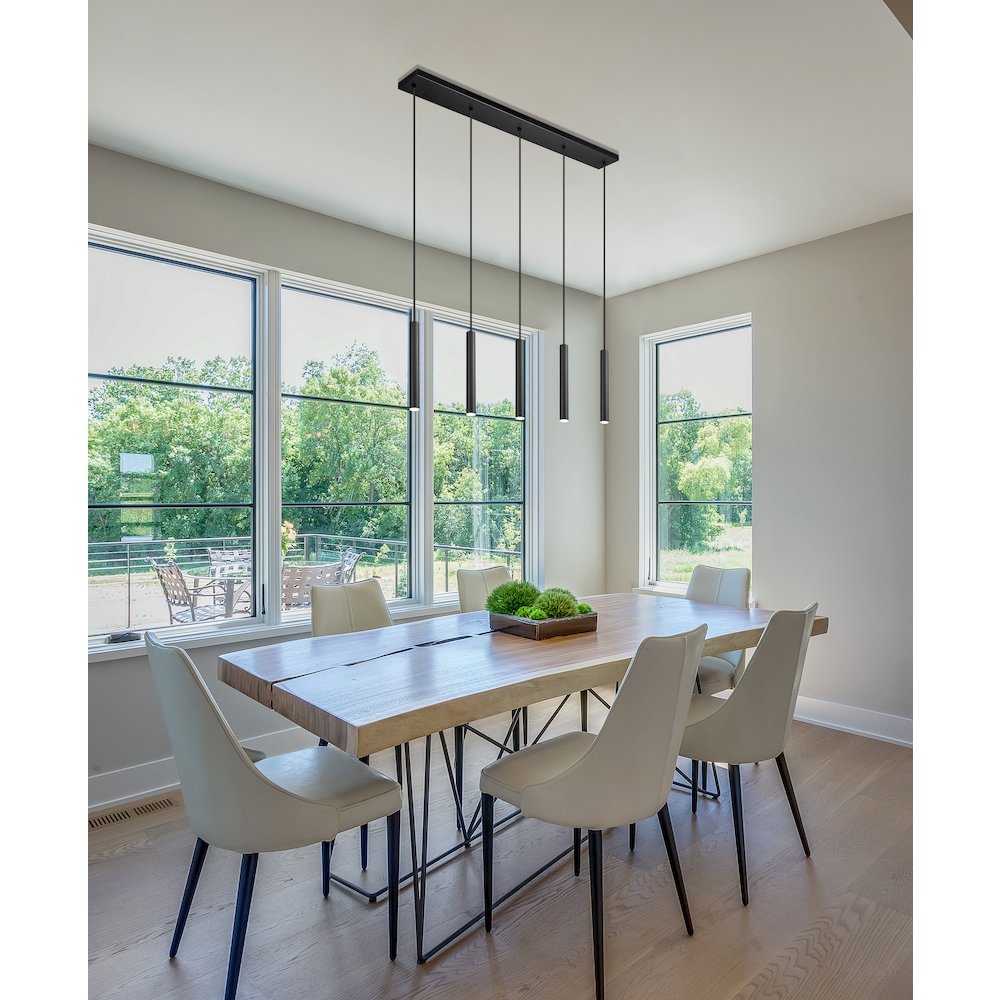 Z-Lite 5 Light Linear Chandelier. Picture 6