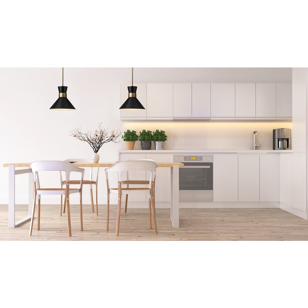 Z-Lite 1 Light Pendant. Picture 7