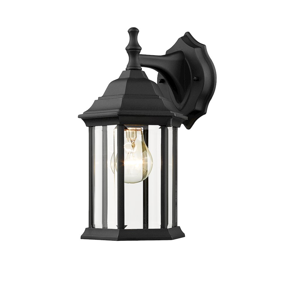 Z-Lite 1 Light Outdoor Wall Light. Picture 1