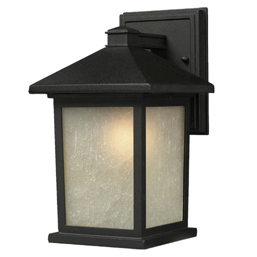 Z-Lite 1 Light Outdoor Wall Light. Picture 1