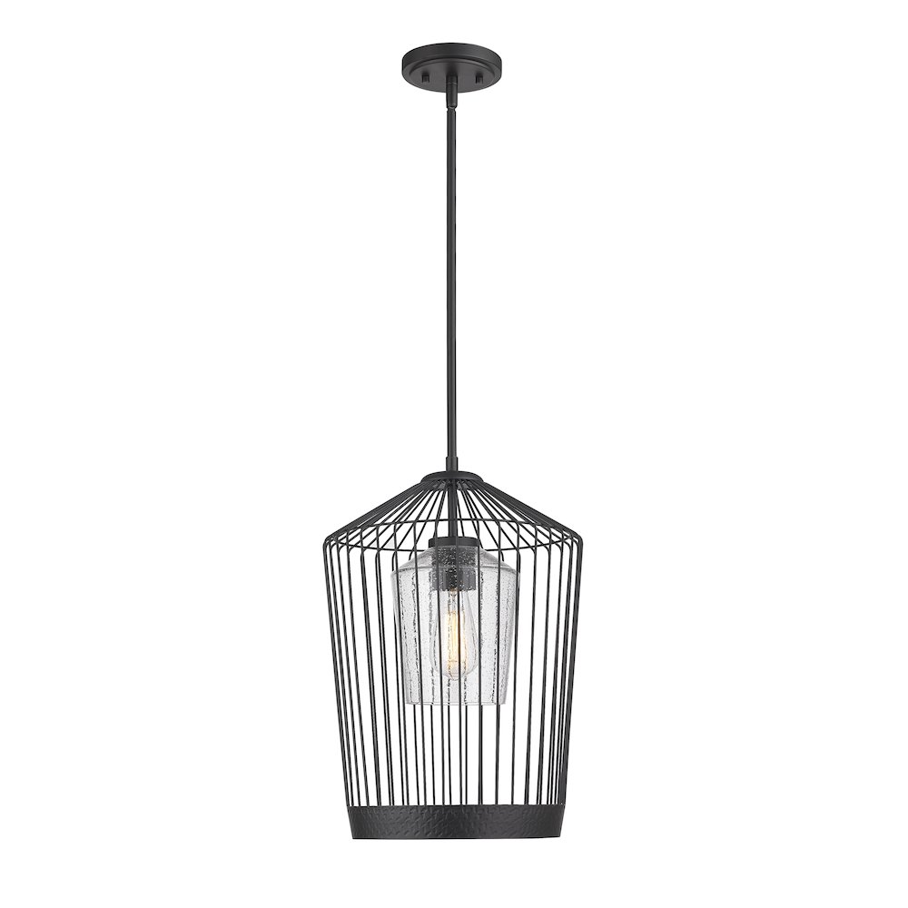 Z-Lite 1 Light Pendant. Picture 1