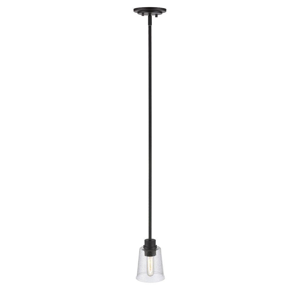 Z-Lite 1 Light Pendant. Picture 2