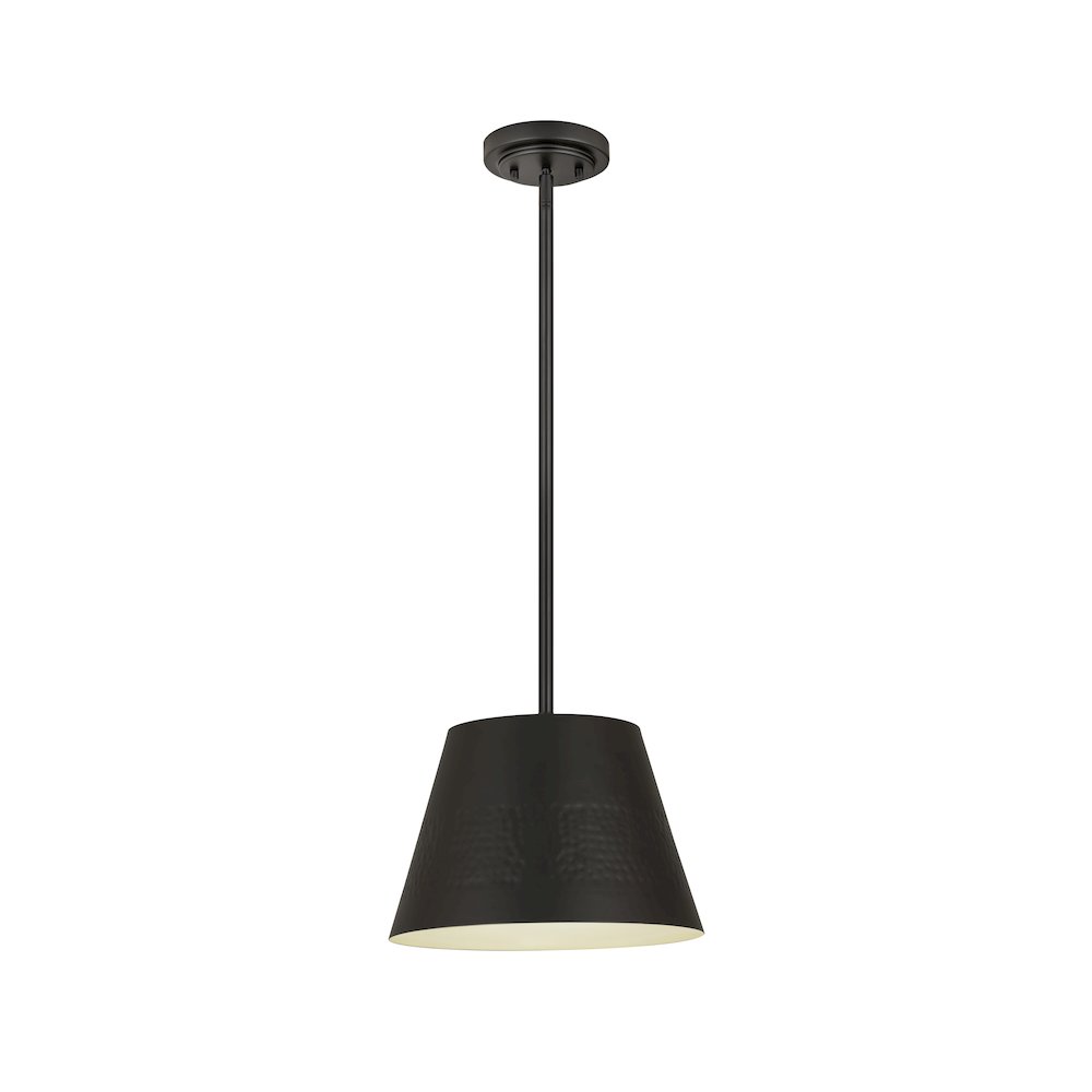 Z-Lite 1 Light Pendant. Picture 1