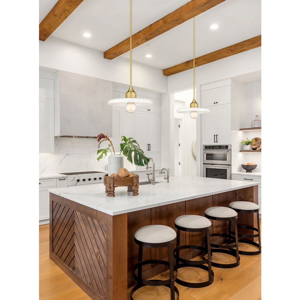 Z-Lite 1 Light Pendant. Picture 7