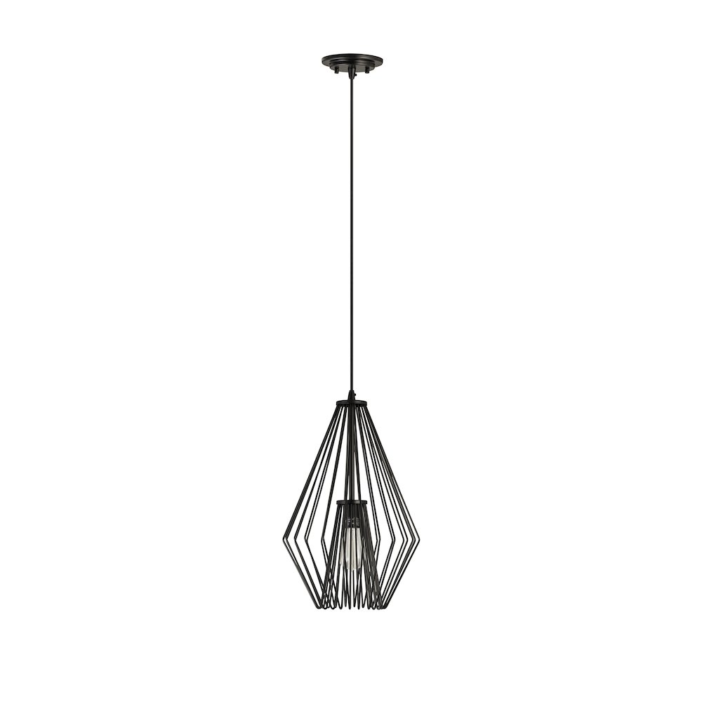 Z-Lite 1 Light Pendant. Picture 5