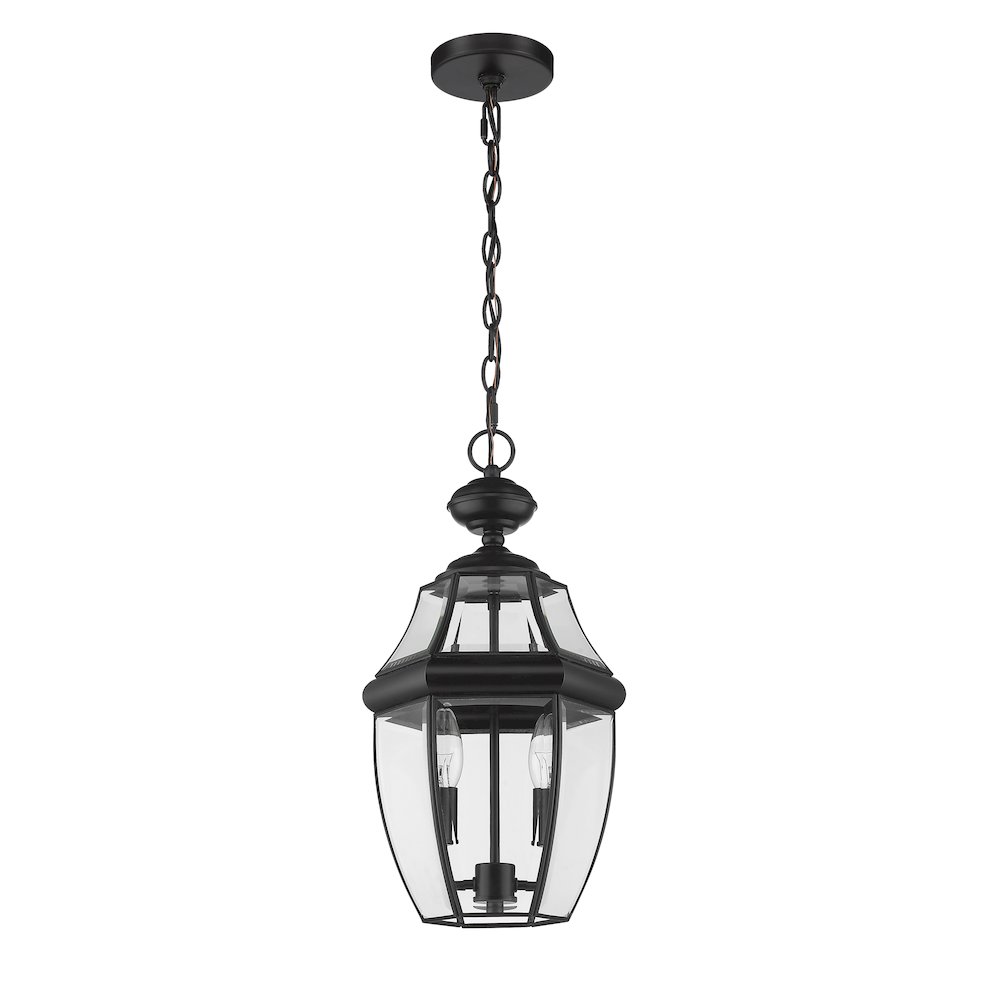 Z-Lite 2 Light Outdoor Chain Mount Ceiling Fixture. Picture 4