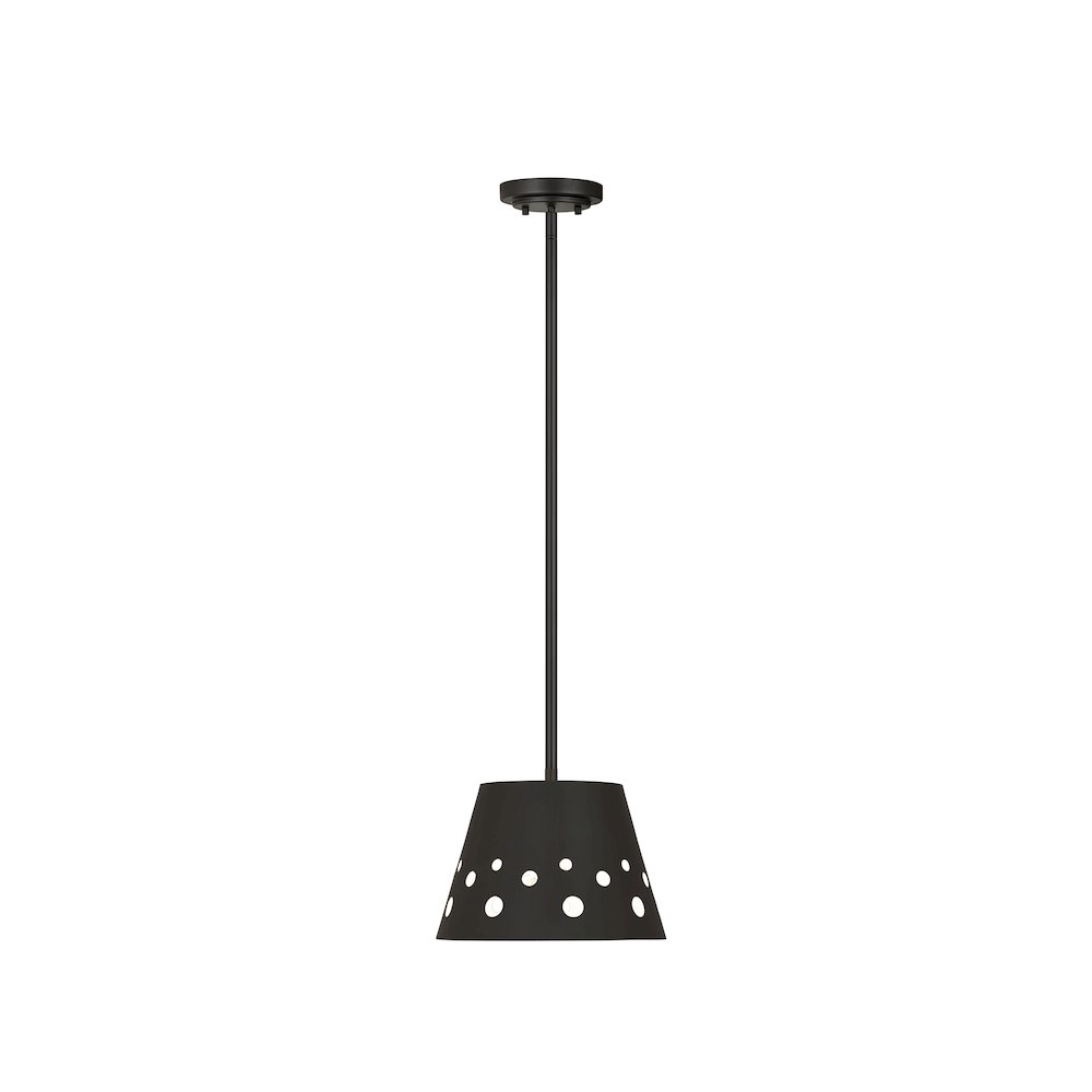Z-Lite 1 Light Pendant. Picture 3