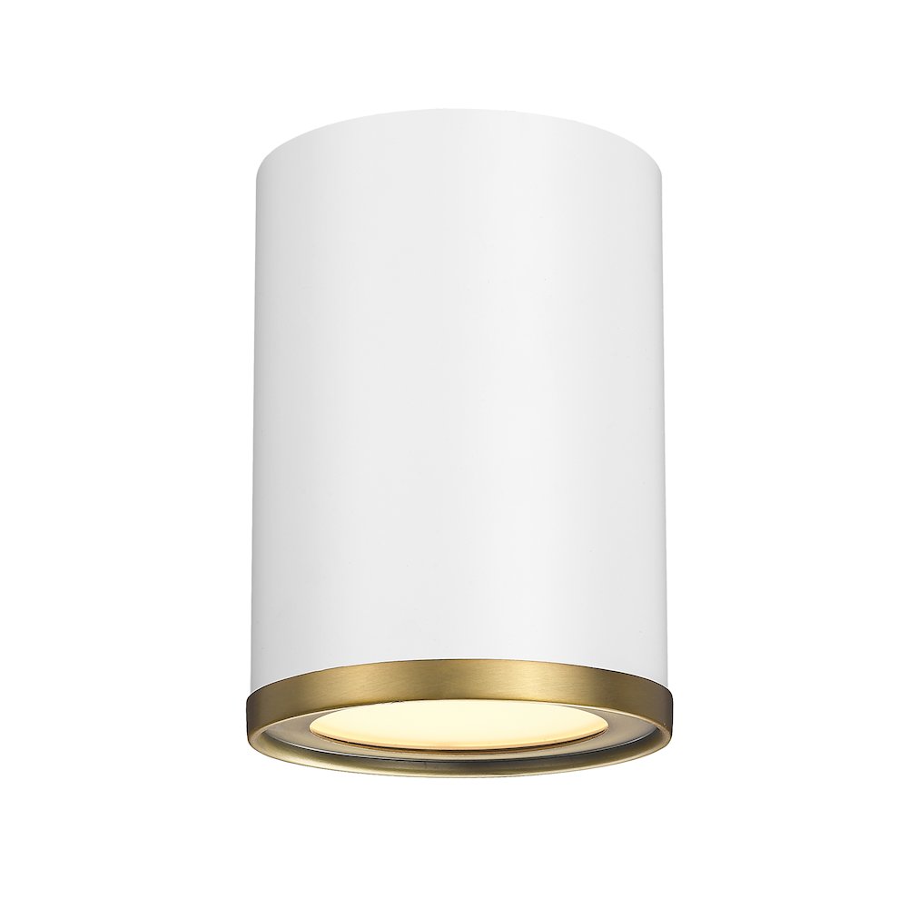 Z-Lite 1 Light Flush Mount. Picture 1