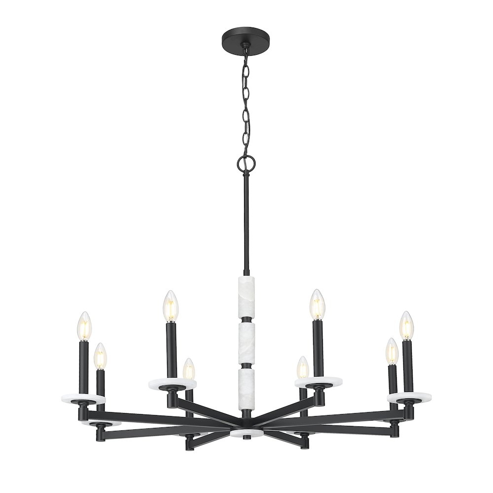 Z-Lite Kaden 8 Light Chandelier in Matte Black color, Steel frame. Picture 1