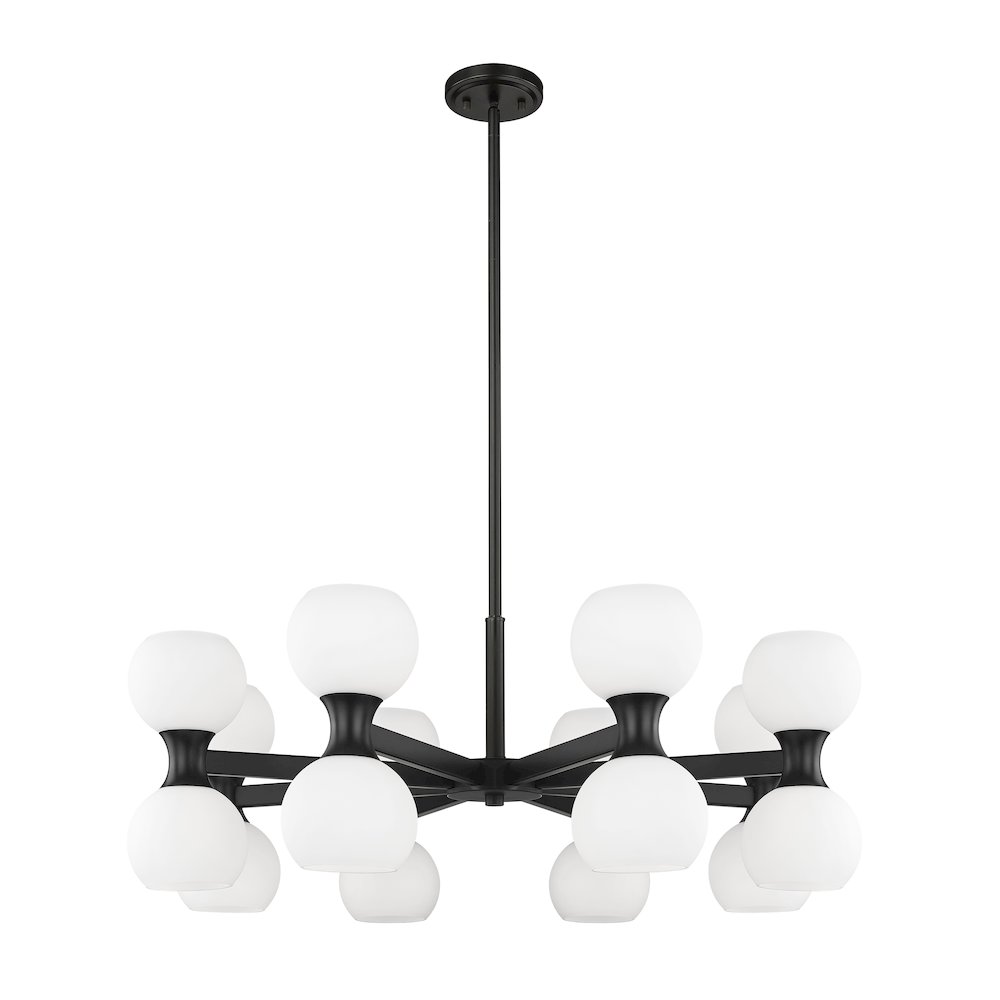 Z-Lite 16 Light Chandelier. Picture 5
