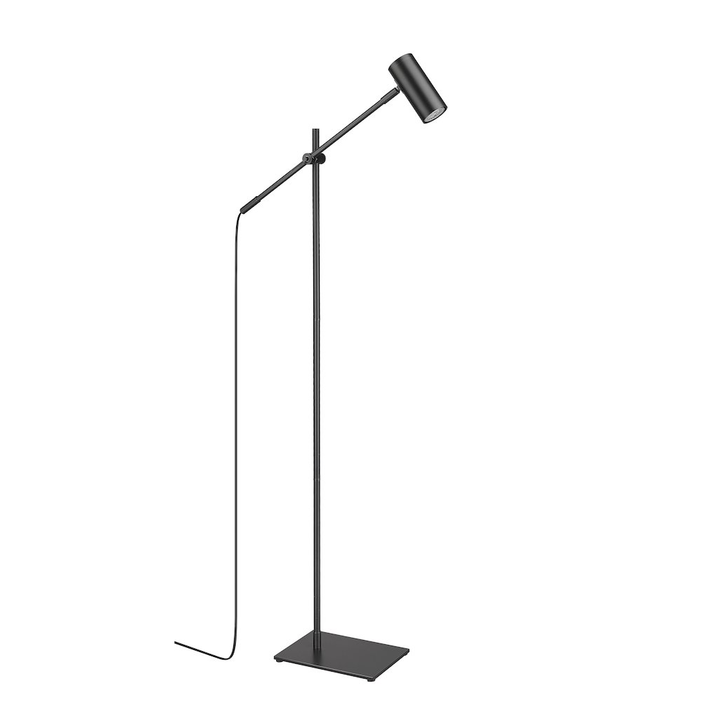 Z-Lite 1 Light Floor Lamp. Picture 5