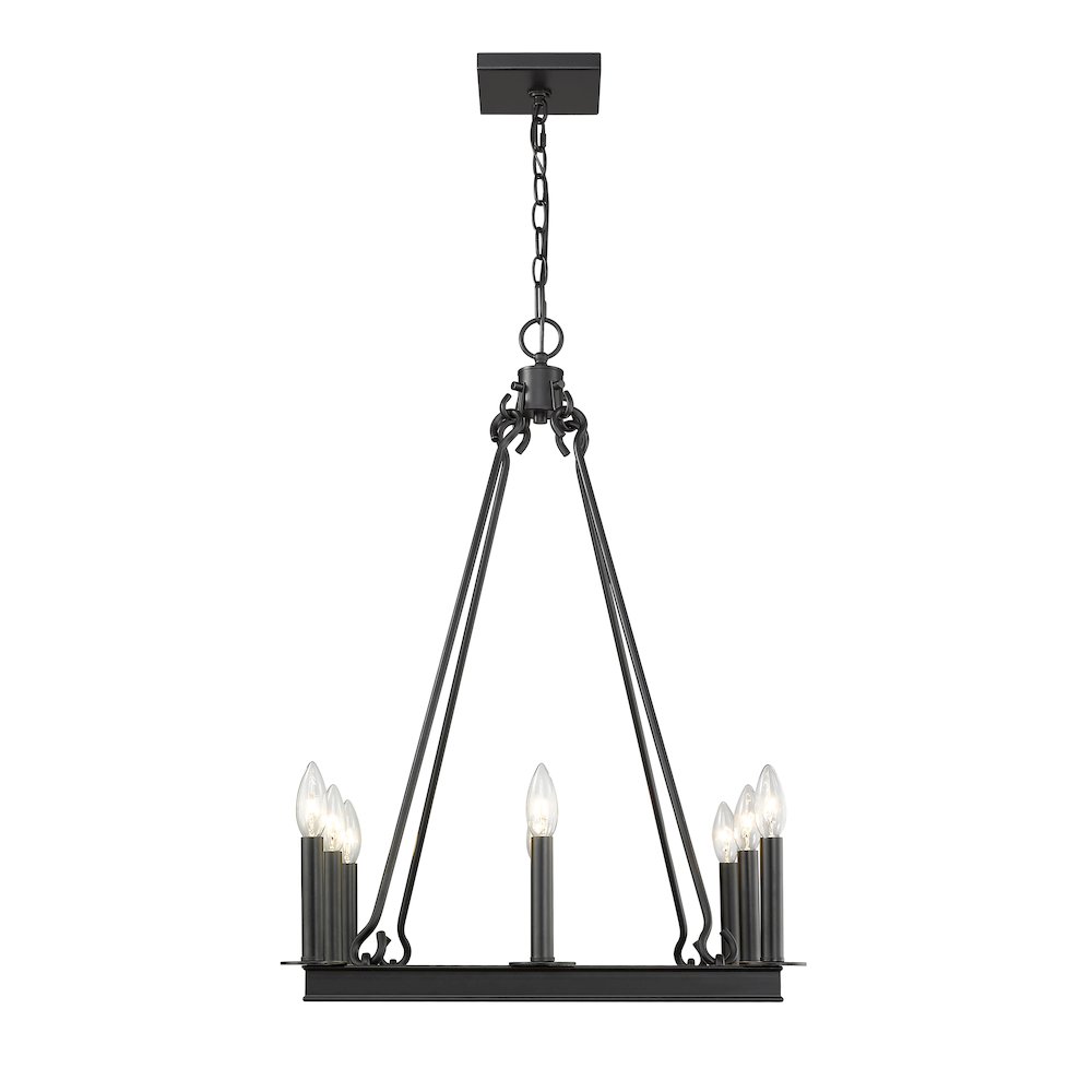 Z-Lite 8 Light Chandelier. Picture 2