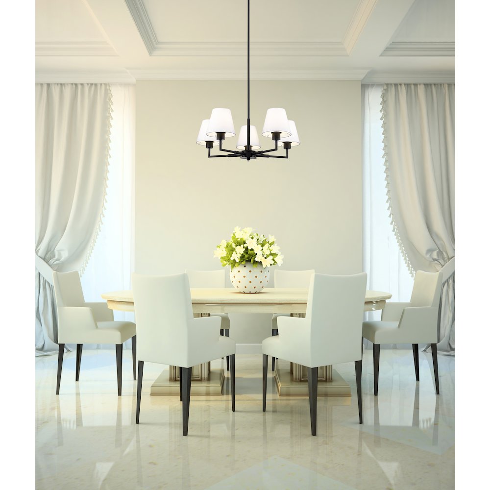 Z-Lite 5 Light Chandelier. Picture 6