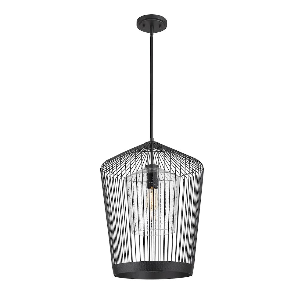 Z-Lite 1 Light Pendant. Picture 2
