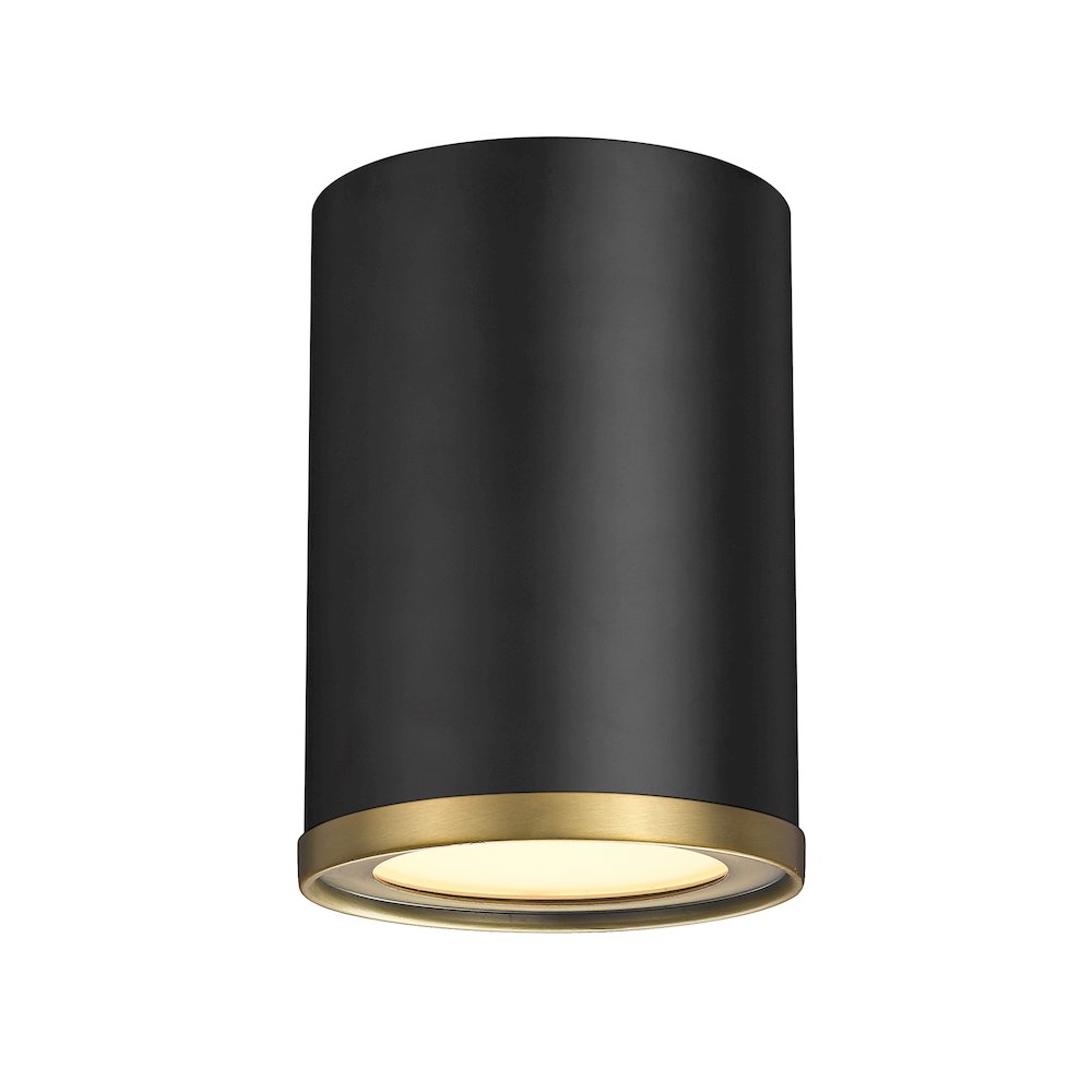 Z-Lite 1 Light Flush Mount. Picture 1