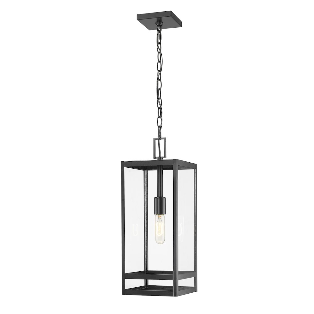 Z-Lite 1 Light Outdoor Chain Mount Ceiling Fixture. Picture 1