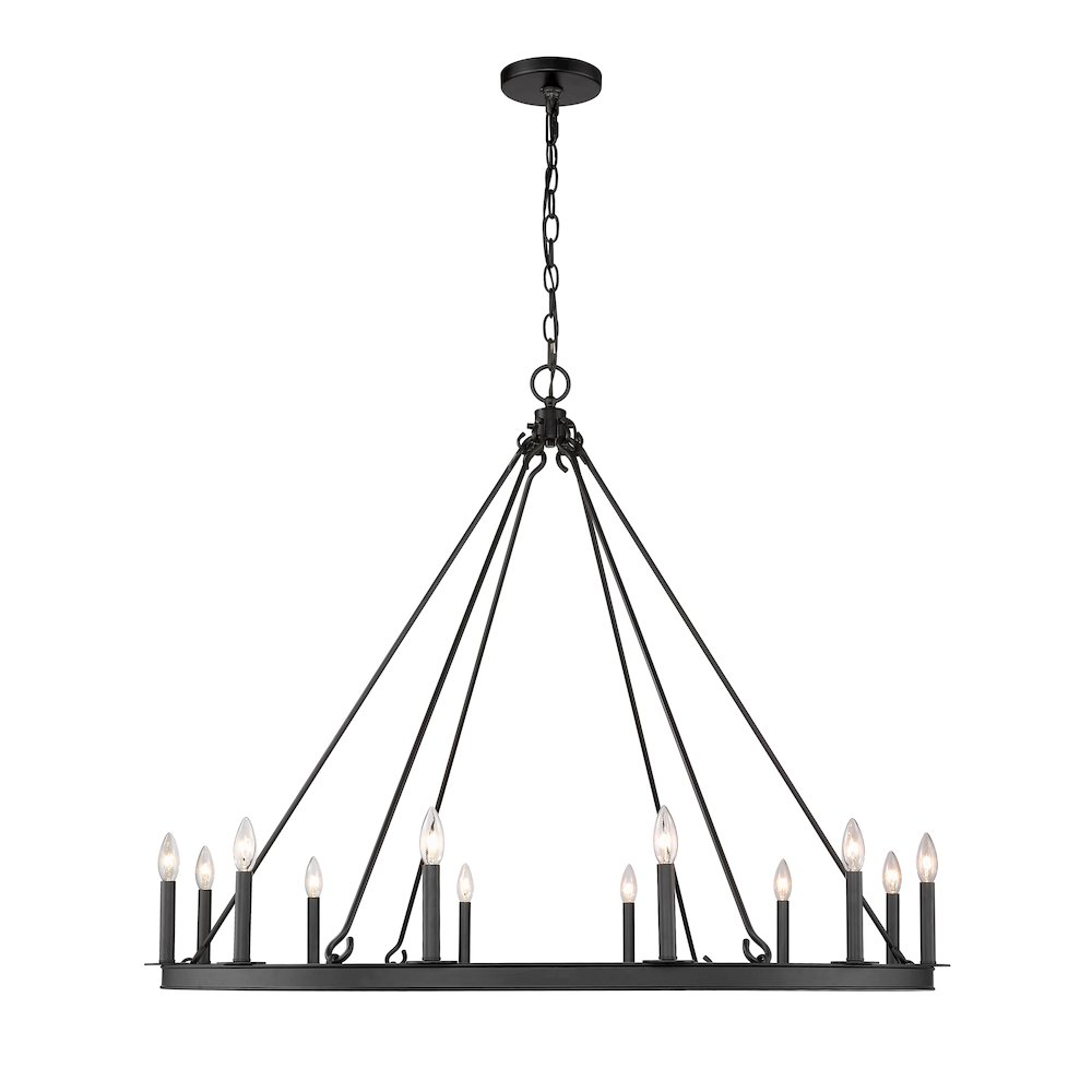 Z-Lite 12 Light Chandelier. Picture 2