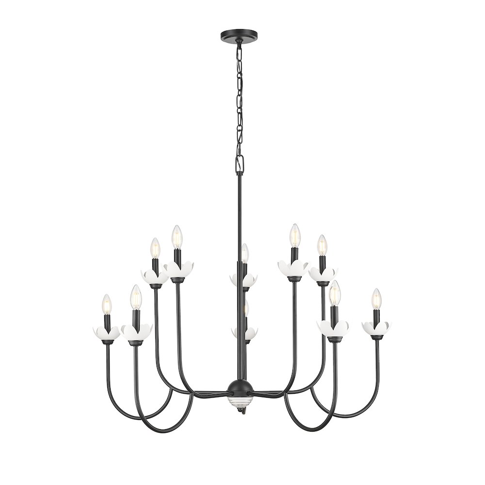 Z-Lite Allistair 10 Light Chandelier in Matte Black color, Steel frame. Picture 1