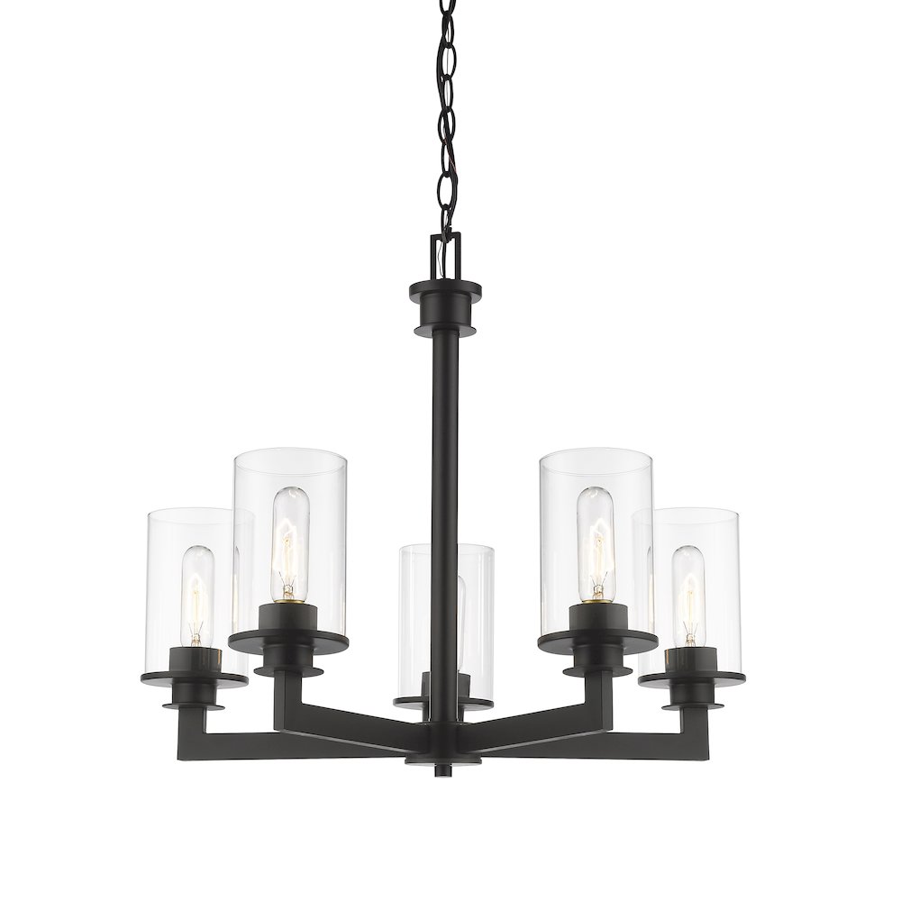 Z-Lite 5 Light Chandelier. Picture 1