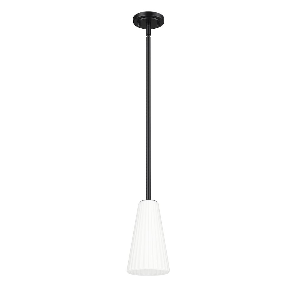 Z-Lite 1 Light Pendant. Picture 5