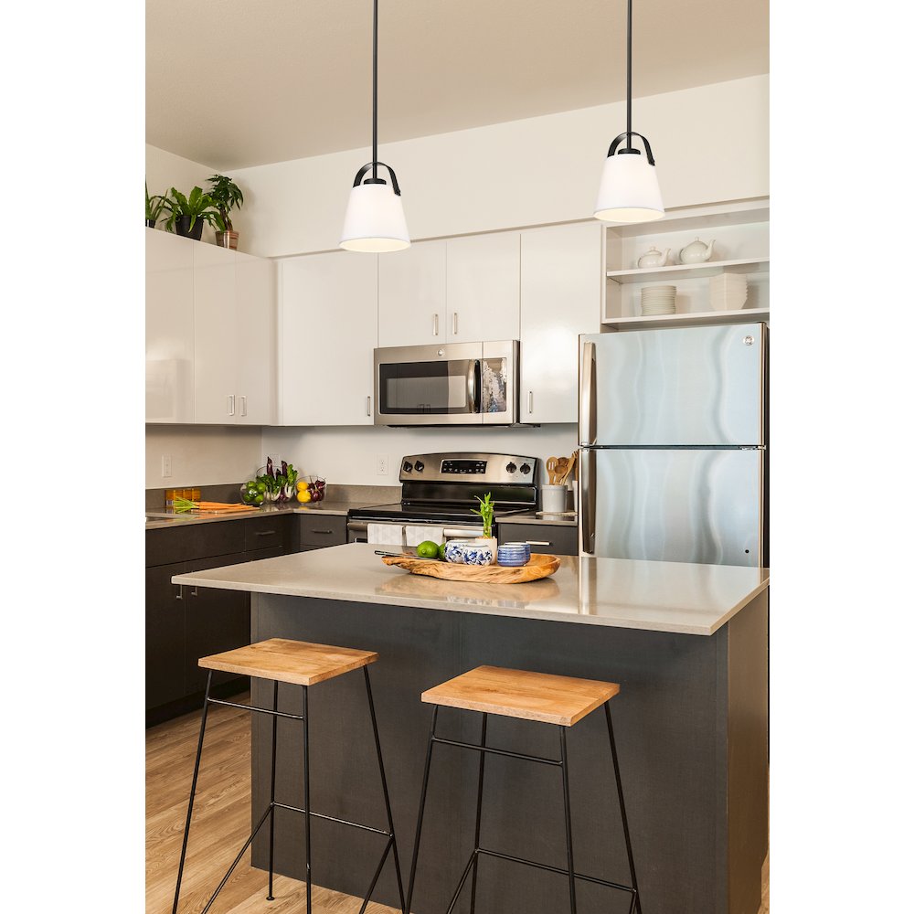 Z-Lite 1 Light Pendant. Picture 7