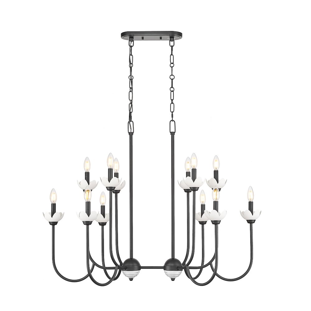 Z-Lite Allistair 12 Light Linear Chandelier in Matte Black color, Steel frame. Picture 1