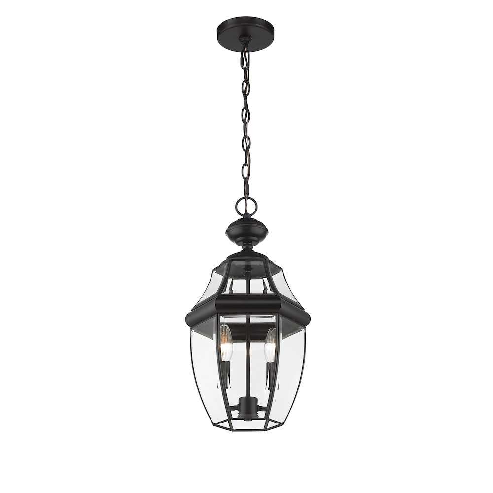 Z-Lite 2 Light Outdoor Chain Mount Ceiling Fixture. Picture 3