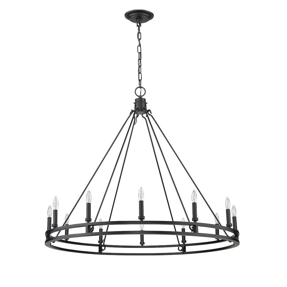 Z-Lite 12 Light Chandelier. Picture 5