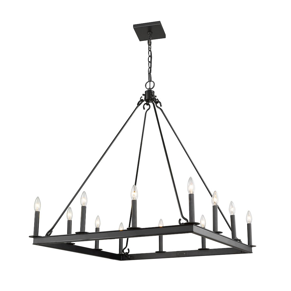 Z-Lite 12 Light Chandelier. Picture 1