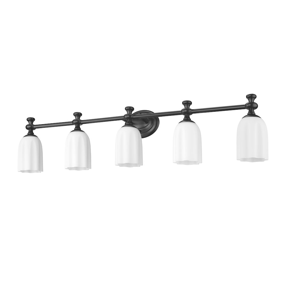 Z-Lite 5 Light Vanity. Picture 5