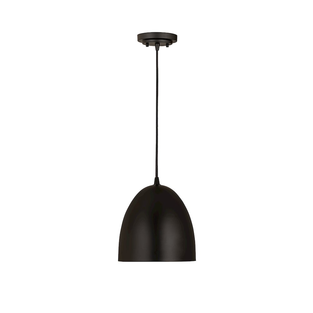 Z-Lite 1 Light Pendant. Picture 1