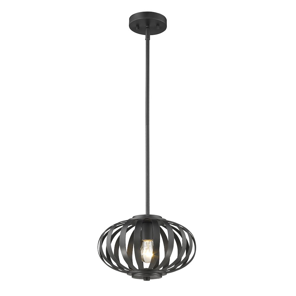 Z-Lite 1 Light Pendant. Picture 1