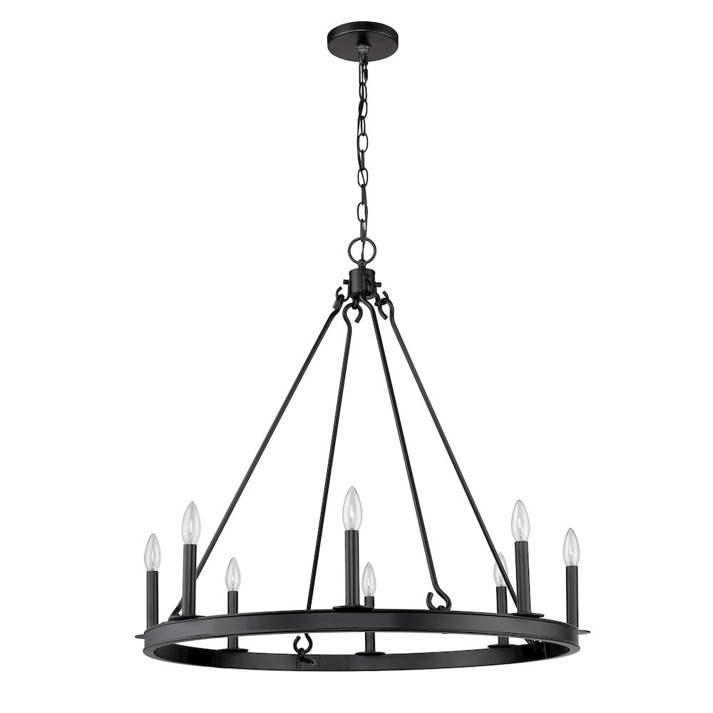 Z-Lite 8 Light Chandelier. Picture 5