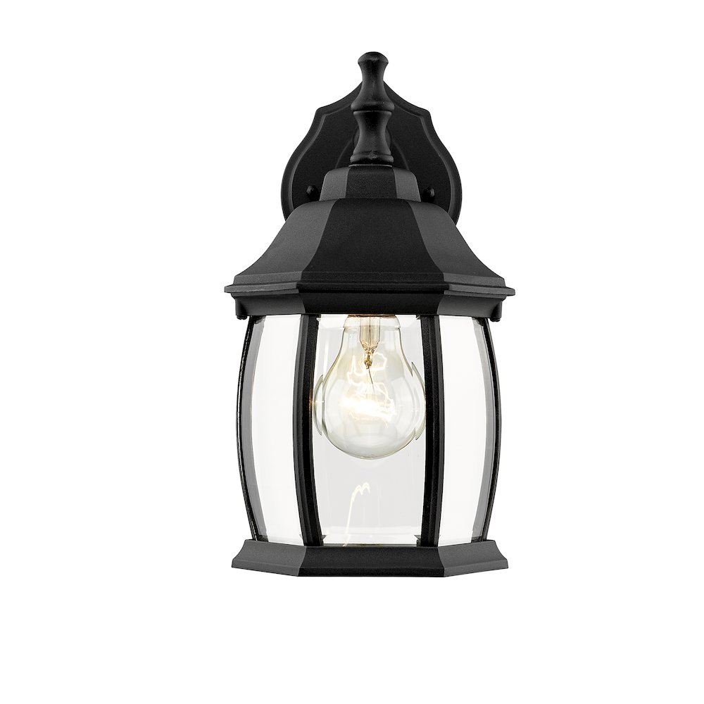 Z-Lite 1 Light Outdoor Wall Light. Picture 2