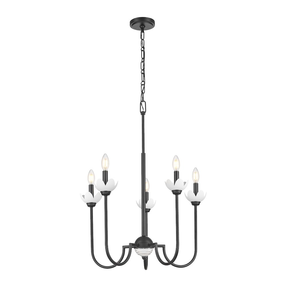 Z-Lite Allistair 5 Light Chandelier in Matte Black color, Steel frame. Picture 3