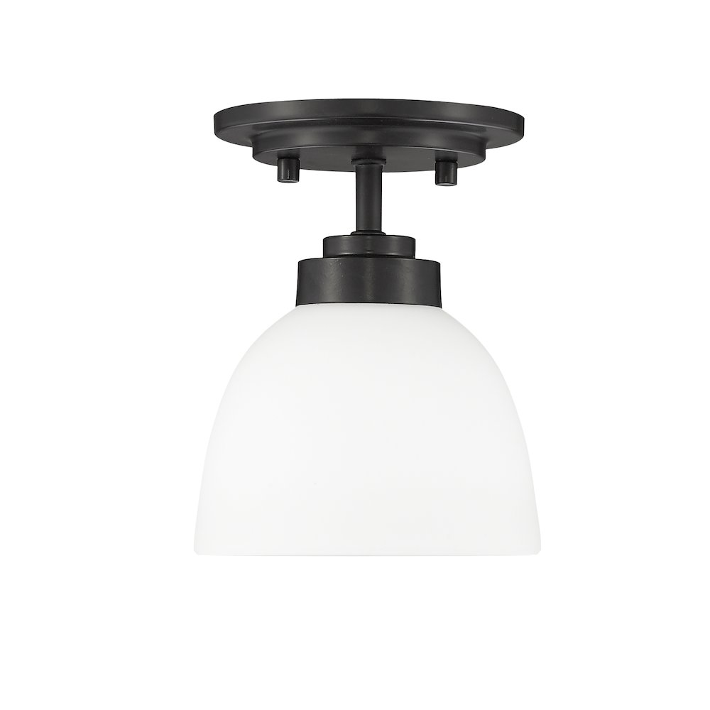 Z-Lite 1 Light Flush Mount. Picture 5