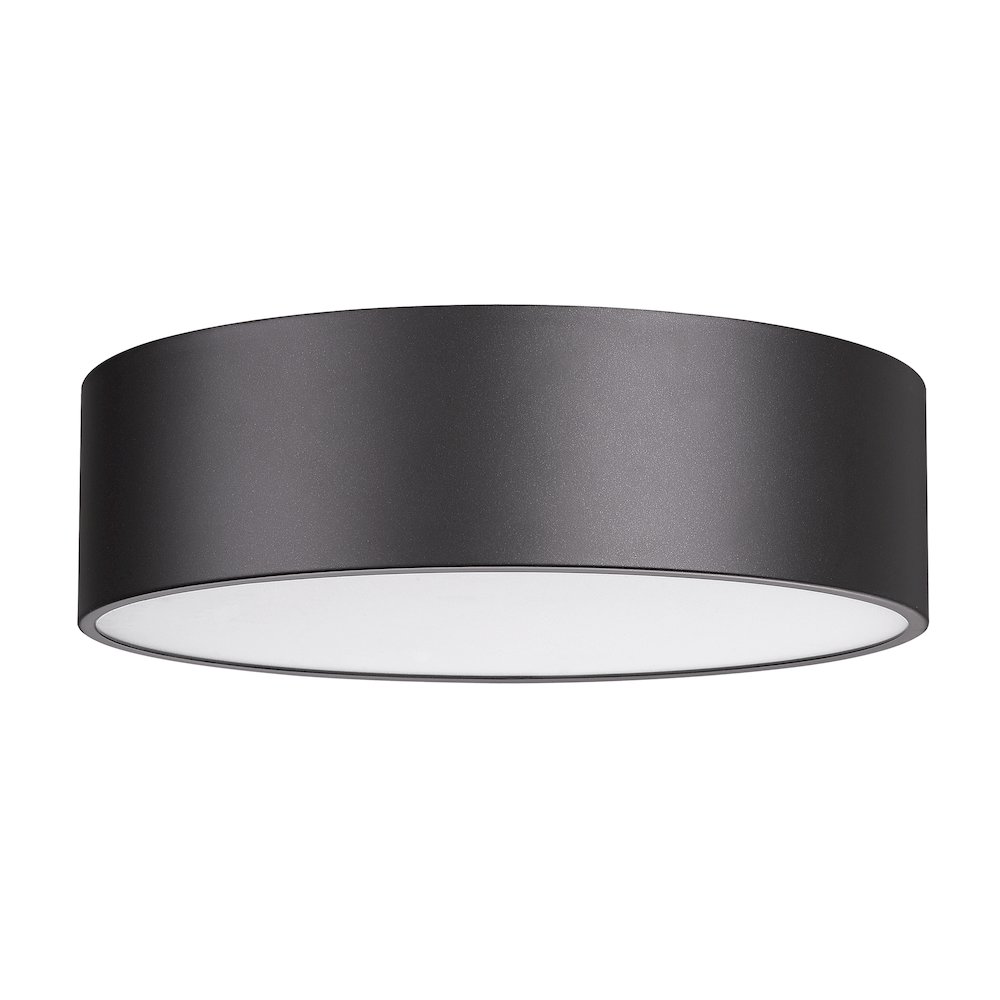 Z-Lite 4 Light Flush Mount. Picture 5