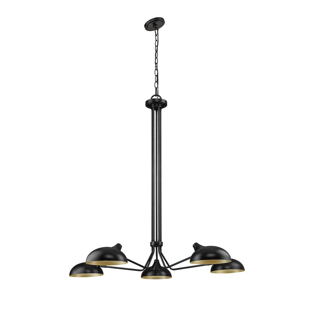 Z-Lite 5 Light Chandelier. Picture 5