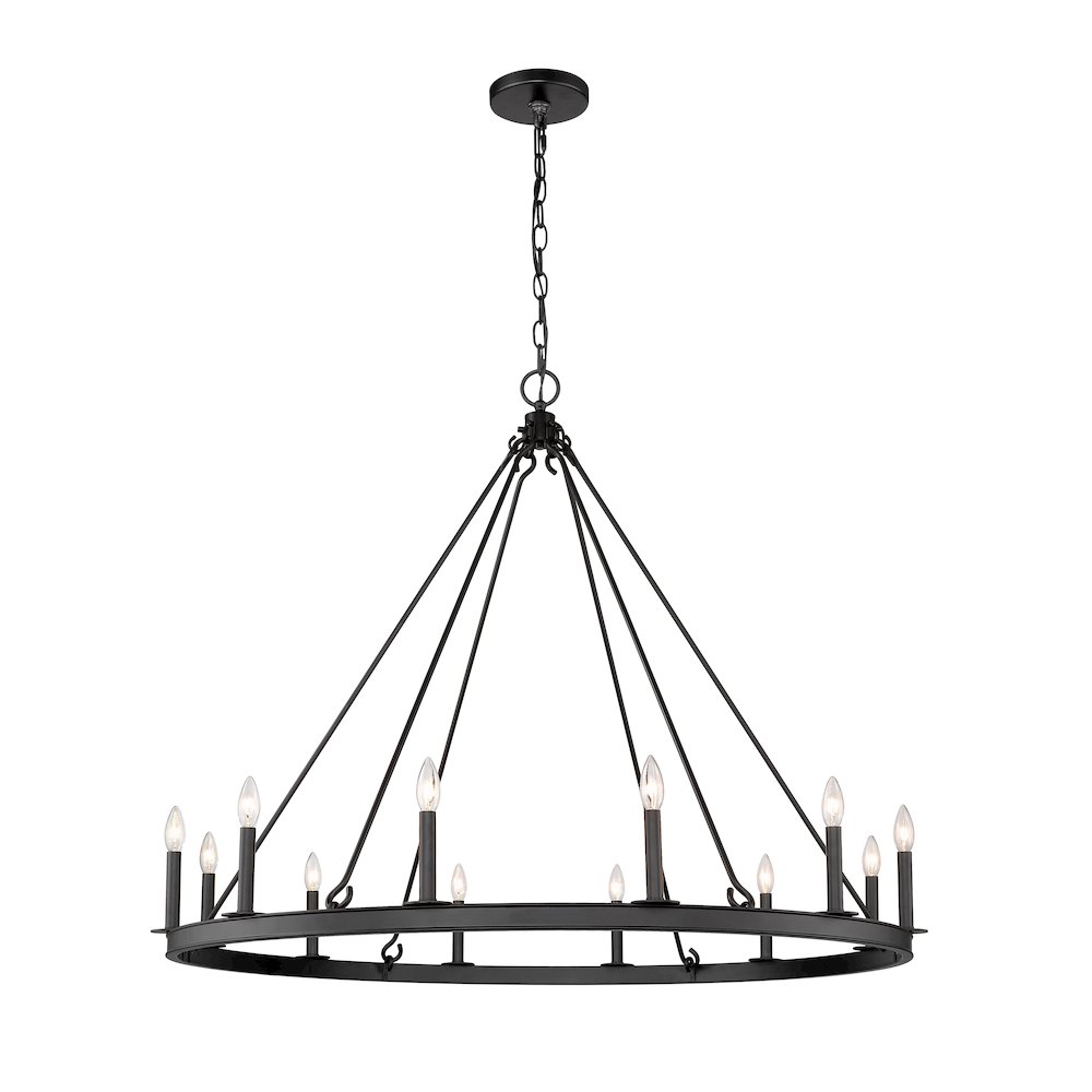 Z-Lite 12 Light Chandelier. Picture 1