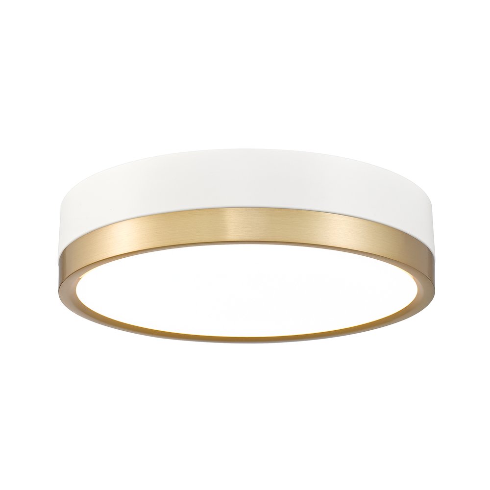 Z-Lite 1 Light Flush Mount. Picture 1