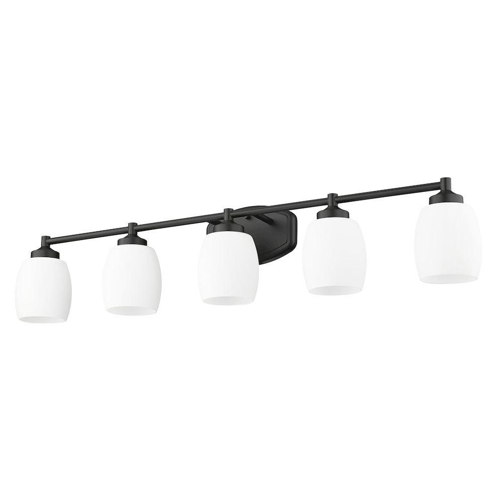 Z-Lite 5 Light Vanity. Picture 5
