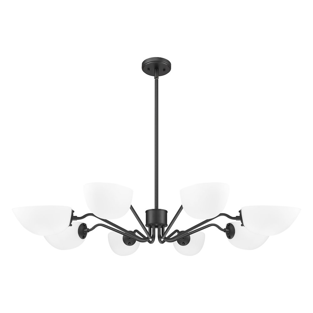 Z-Lite 8 Light Chandelier, Matte Black. Picture 7