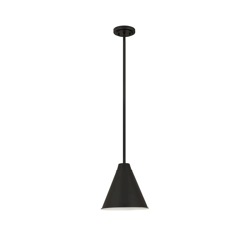 Z-Lite 1 Light Pendant. Picture 5