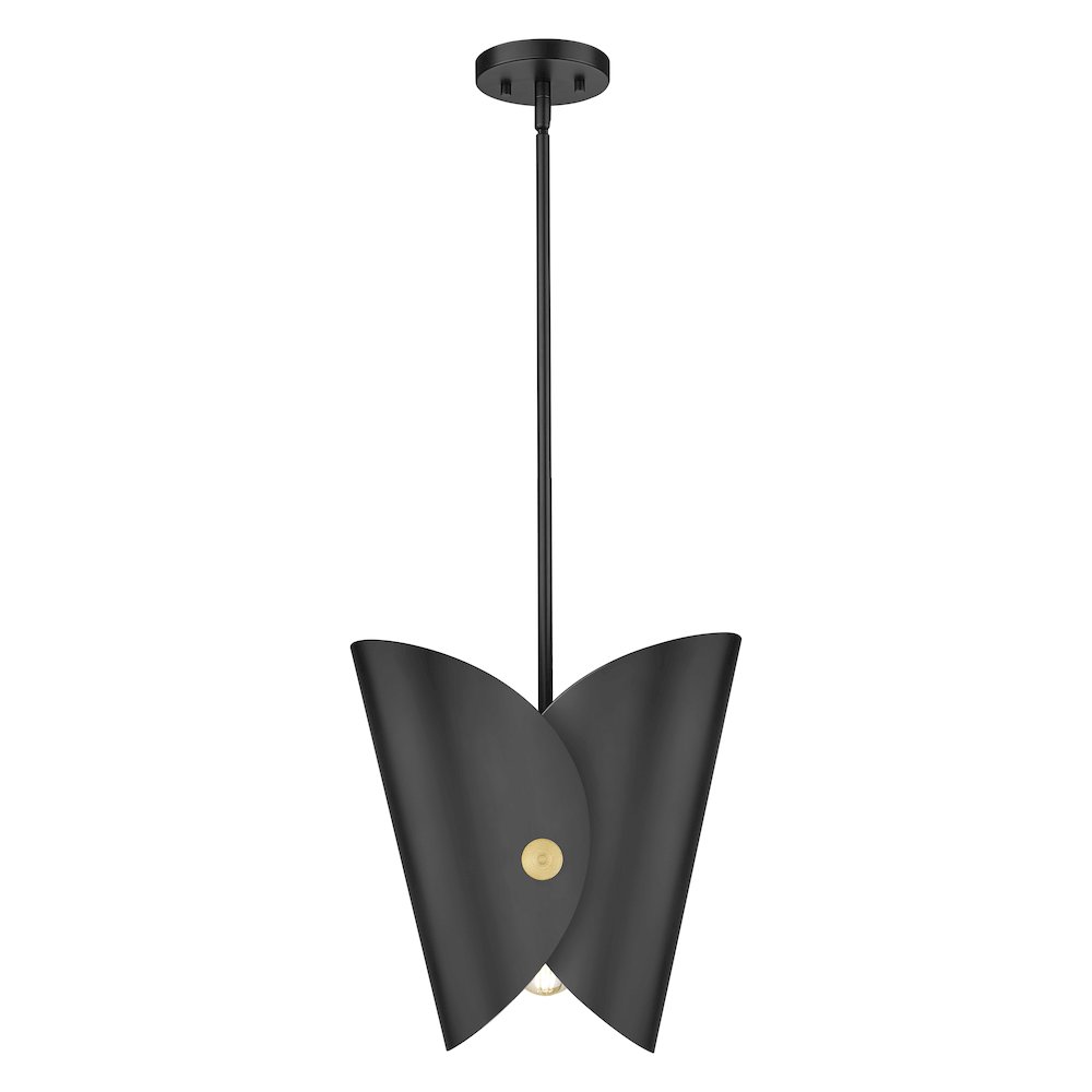 Z-Lite 1 Light Pendant. Picture 3