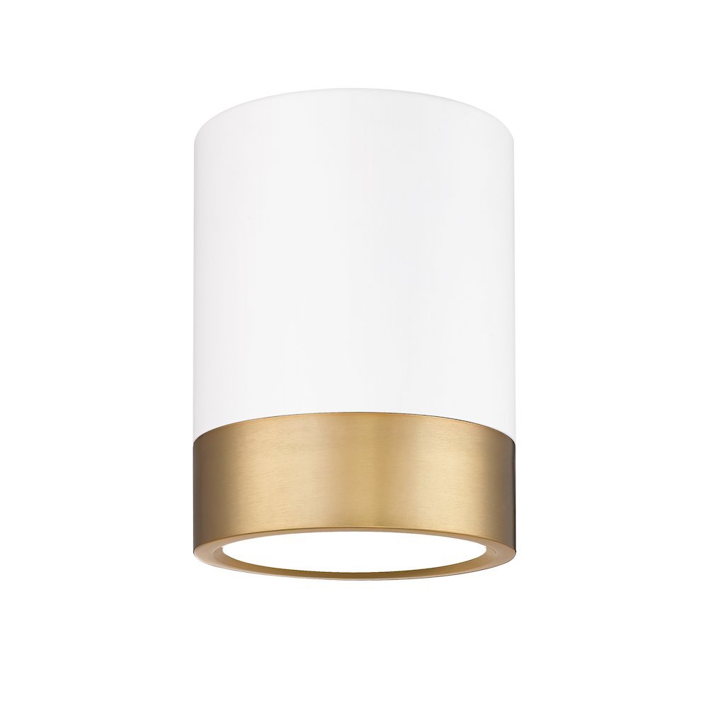 Z-Lite 1 Light Flush Mount. Picture 1